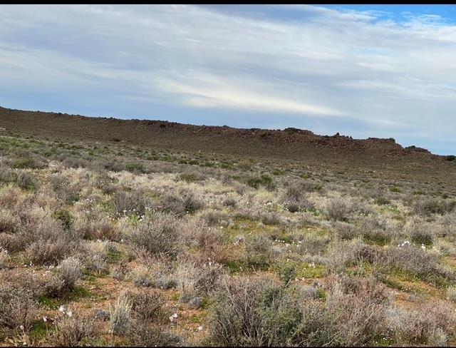 0 Bedroom Property for Sale in Williston Northern Cape